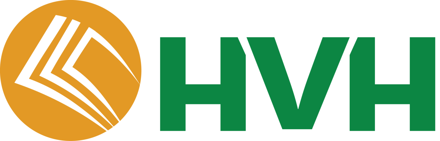 Hướng Việt Holdings