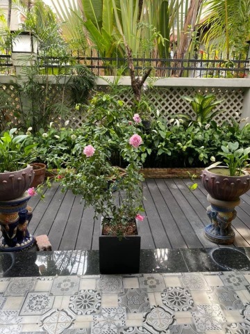 Luxury Villa in District 2 For Rent - Find Your Dream Home Today!